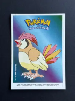 Carte Pokemon - Nintendo - Dunkin Boomer - #17 Roucoups - Image 1
