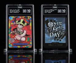 TAG 10 SET - One Piece Day 25 Premium Card Collection - Luffy P-110 & DON Promo - Image 1