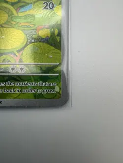 Pokemon Bulbasaur Illustration Rare Holo 166/165 Scarlet & Violet 151 Basic 70 … - Image 5