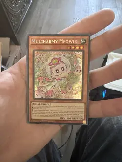 Mulcharmy Meowls [Secret Rare] YU-GI-OH! Supreme Darkness SUDA-EN025 1st Edition - Image 2