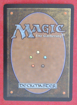 MTG Bling - Foil Old Border Retro Basic Land - Forest (348) - Onslaught -i107 - Image 2