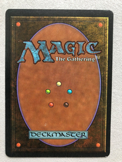 Mtg Carte Magic Fbb Foreign Black Bordered Earthbind French NM/LP - Image 2
