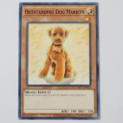 Outstanding Dog Marron - OP17-EN014 - NM/VLP - Common - Unlimited - Yugioh - Image 1