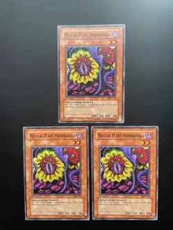 Yugioh Magical Plant Mandragola MFC-072 Common 1st Edition LP/MP X3 - Image 1