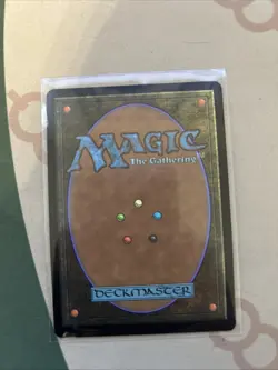 MTG Vivi Ornitier (Borderless) (Chocobo Track Foil) PACK FRESH - Image 2