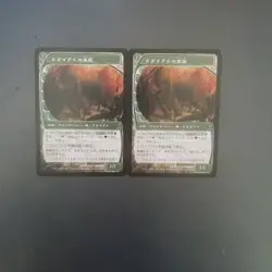 MTG Dryads Gazebo Japanese 2 Piece Set Card Game Accessories - Image 1