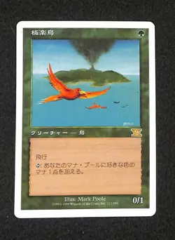 MTG 6th Edition Birds of Paradise Japanese Card Collectible Used - Image 1