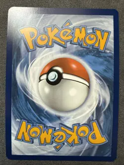 Kyogre ex SVP 178 Pokemon Scarlet & Violet Azure Legends Black Star Promo NM - Image 2