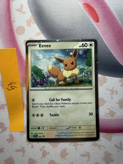 Pokemon TCG Eevee SVP 043 Black Star Promo Holo NM - Image 1