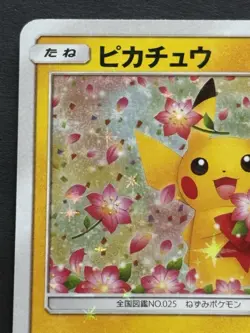 Pokemon card Pikachu 224/SM-P Promo 2018 Pokemon TCG Japanese Holo Rare Nintendo - Image 2