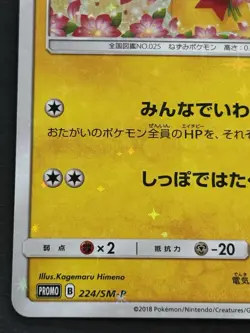 Pokemon card Pikachu 224/SM-P Promo 2018 Pokemon TCG Japanese Holo Rare Nintendo - Image 5
