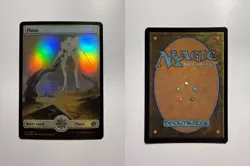 Plains (278) - Full Art 278 MTG The Brothers' War Foil - Image 3