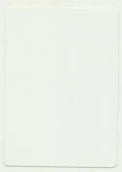 MTG Artist Proof Planar Gate Legends Reserved List Signed Magic The Gathering NM - Image 2