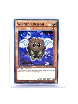 Yugioh, Winged Kuriboh, SGX1-ENA06, Speed Duel GX: Duel Academy Box 1st Edition - Image 1