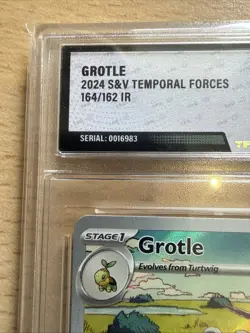 Grotle #164 Temporal Forces Illustration Rare 2024 Pokemon graded TFG 8 - Image 4