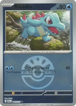 2x Totodile (Friend Ball, #041/217) - Reverse Holofoi Ascended Heroes NM Pokemon - Image 1