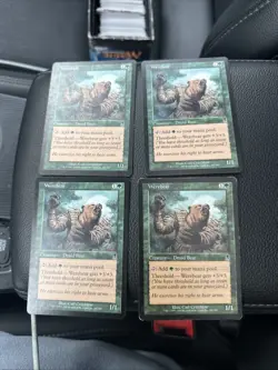 4x Werebear Odyssey Legacy Playset MTG Magic The Gathering Old School Staple - Image 1