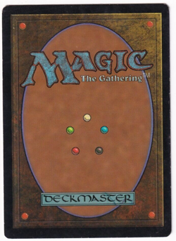 Armored Pegasus Tempest #5 Magic The Gathering 1997 MTG Single - Image 2