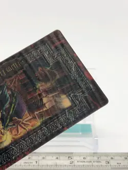Filivs Flitwick Harry Potter Chocolate Frog Card Japanese USJ Warner Bros - Image 4