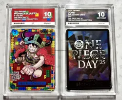 Luffy P-110 ACE 10 + DON!! One Piece Day 25 2025 Promo Set Japanese Lego - Image 1