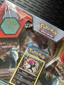 Sealed Pokemon Zoroark Illusions Collection Box Black & White Packs + Promo READ - Image 4