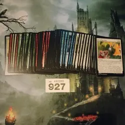 Magic The Gathering Bloomburrow Pauper Bundle. MTG BLB Lot (927) - Image 1