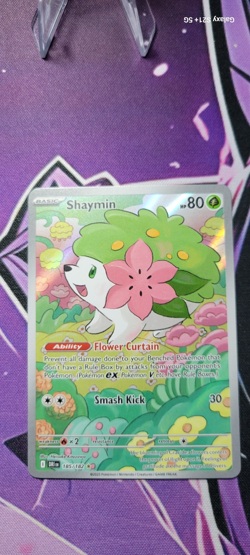 SHAYMIN Pokemon tcg card Destined Rivals DRI full Illustration rare SIR IR #185 - Image 2