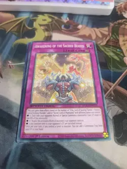 Yugioh! Awakening of the Sacred Beasts - SGX3-ENG15 - Common - 1st Edition Near - Image 1