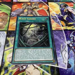 Black Garden MP25-EN132 Prismatic Secret Rare 1st Edition NM Yugioh - Image 1
