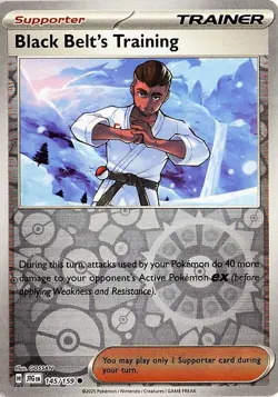 Black Belt's Training 145/159 Reverse HOLO FOIL Journey Together NM - Image 1