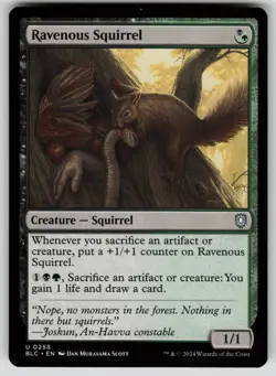 Ravenous Squirrel Normal U Commander: Bloomburrow 258 NM - Image 1