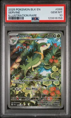2025 POKEMON BLK EN-BLACK BOLT ILLUSTRATION RARE #088 SERVINE PSA 10 - Image 1