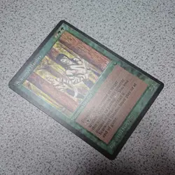 MTG Scarwood Bandits English NM Magic the Gathering Card - Image 2