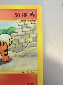 Pokemon Growlithe 62/144 Skyridge (2003) – Near Mint – NEVER Played – e‑Reader - Image 2