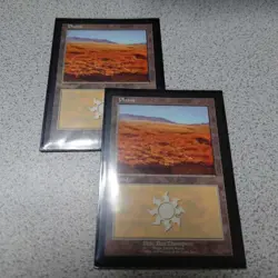 MTG Magic the Gathering Flat Land Set of Two Euro NM English Condition - Image 1
