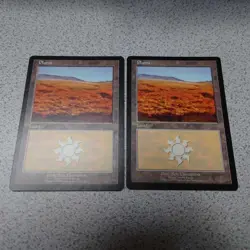 MTG Magic the Gathering Flat Land Set of Two Euro NM English Condition - Image 2