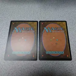 MTG Magic the Gathering Flat Land Set of Two Euro NM English Condition - Image 3