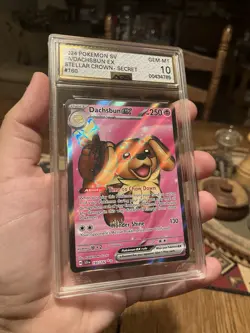 CGC 10 Dachsbun ex 160/142 Pokemon Stellar Crown Ultra Rare Holo Full Art - Image 1