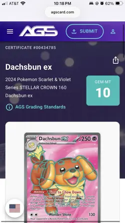 CGC 10 Dachsbun ex 160/142 Pokemon Stellar Crown Ultra Rare Holo Full Art - Image 3