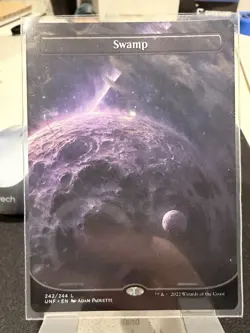 Swamp (242) (Borderless) Unfinity Regular - Image 1
