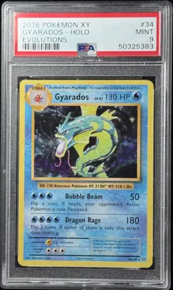 Pokemon TCG Gyarados Holo Rare Card #13/132 Psa9 XY Evolutions 2016 Mint Rare - Image 1