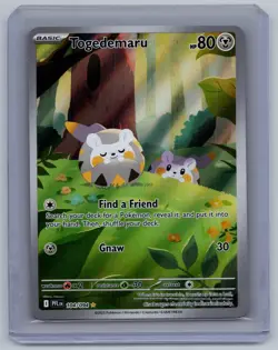 Togedemaru 104/094 Illustration Rare Phantasmal Flames Pokemon Near Mint - Image 1