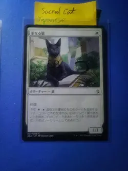 Japanese Mtg Amonkeht Lot Of 2, Djerus Resolve And Sacred Cat. Mint Condition - Image 3