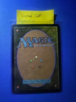 Japanese Mtg Amonkeht Lot Of 2, Djerus Resolve And Sacred Cat. Mint Condition - Image 4