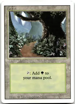 MTG Forest (B) L Revised Edition 286 MP - Image 1