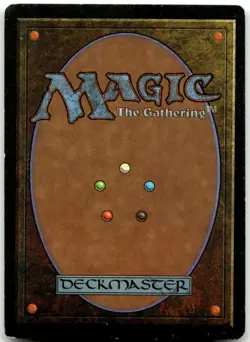 MTG Forest (B) L Revised Edition 286 MP - Image 2