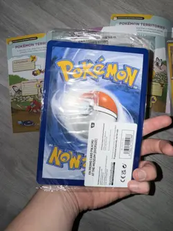 Pokemon x Natural History Museum Pikachu At The Museum & Activity Booklet - Image 2