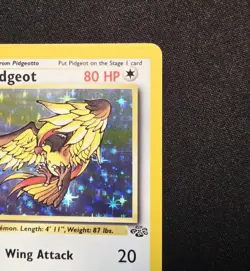 Pidgeot 8/64 Holo Rare WOTC Jungle Pokemon 1999 Wizards Of The Coast TCG - Image 4