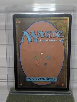 MTG Land Tax WOT 9 - Wilds of Eldraine Enchanting Tales Magic The Gathering Card - Image 2