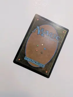 MTG - Forest 0276 - Murders at Karlov Manor NM/M Condition - Image 3